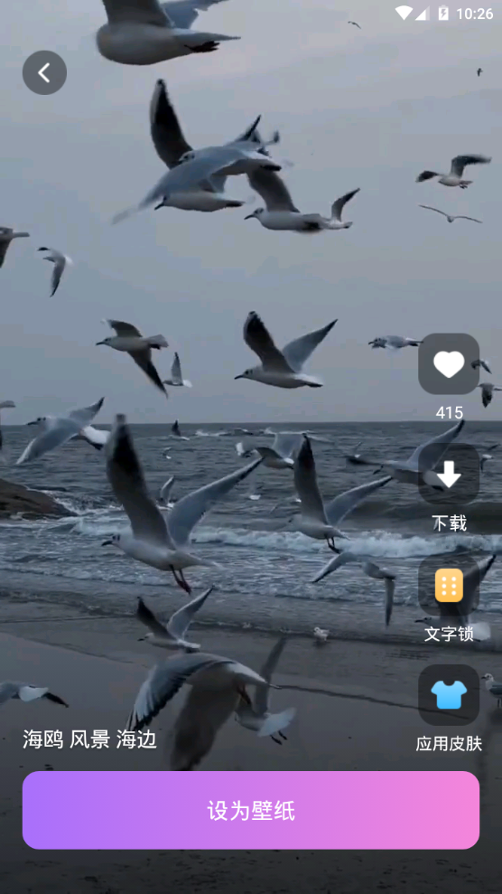 透透壁纸苹果版