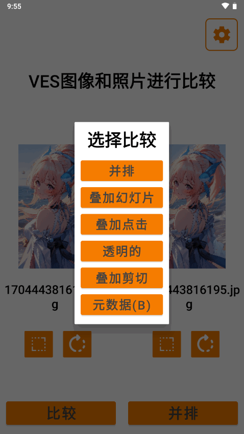 VES图像和照片进行比较苹果版