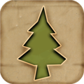 纸片森林2026版ios