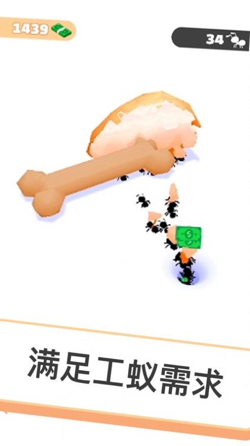 小蚁帝国appios版