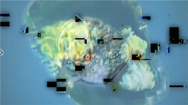 孢子模拟器新手攻略图片1