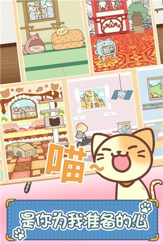 猫咪的毛app手机版