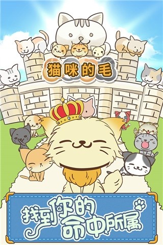 猫咪的毛app手机版