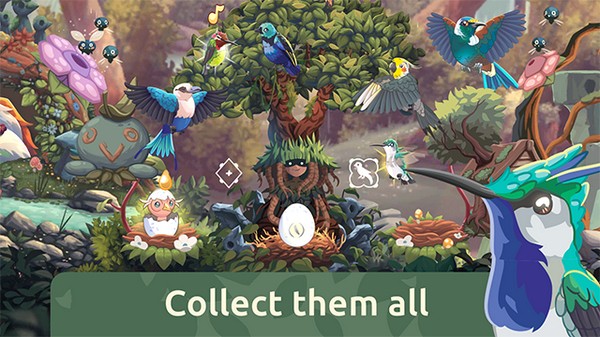 鸟类世界2026ios版