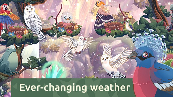 鸟类世界2026ios版