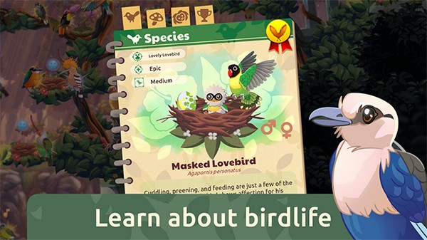 鸟类世界2026ios版