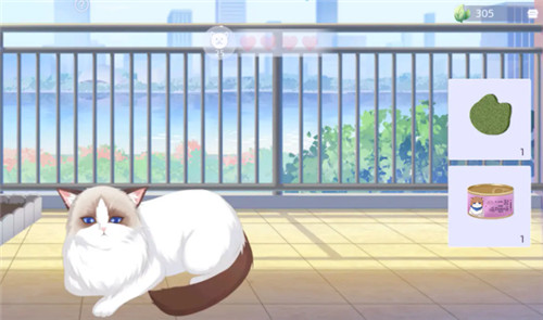 猫之宿约者九游版图片4
