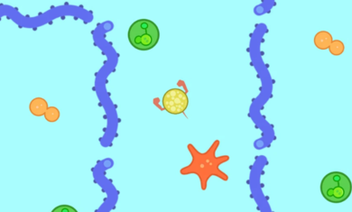 迷宫者app手机版