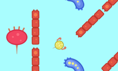 迷宫者app手机版