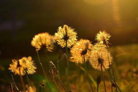 小展软件库最新版