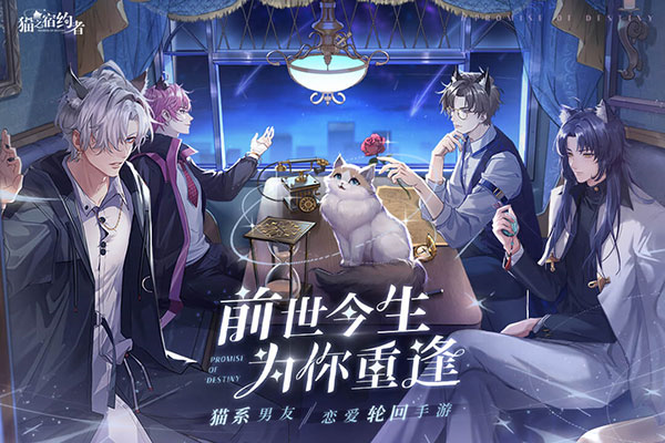 猫之宿约者app版苹果