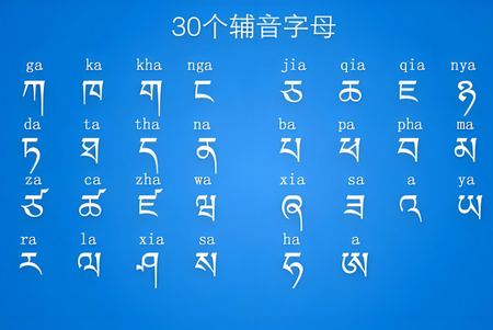 藏语识别君官方版