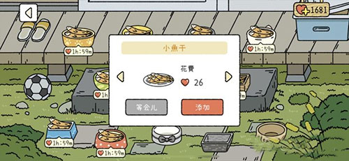 怎么喂猫配图1