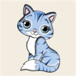 Catcoin猫猫币加密交易平台app官网下载