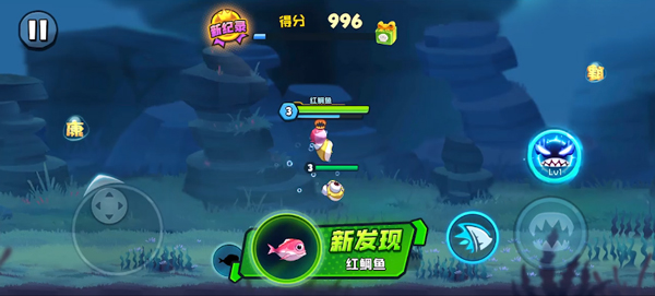 鱼吃鱼图片3