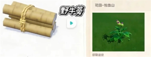 新庆典新加野菜详解配图2