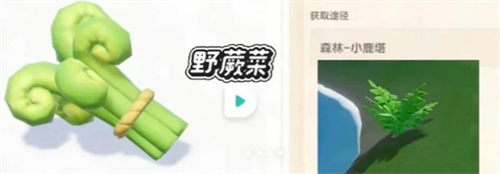 新庆典新加野菜详解配图4