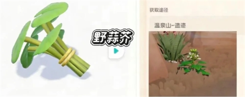新庆典新加野菜详解配图1