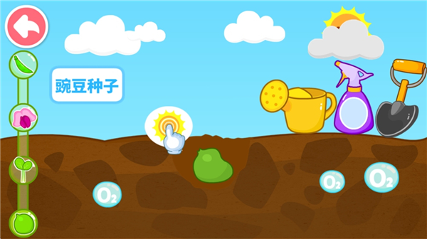 怎么让宝宝认识种子配图5