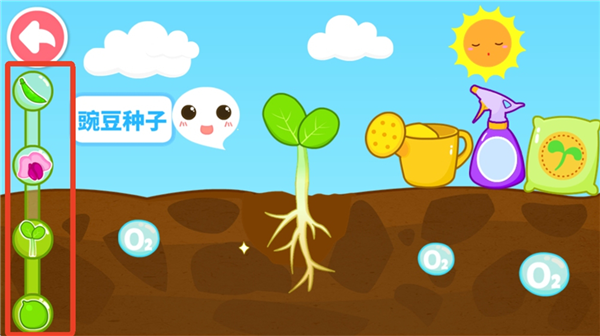 怎么让宝宝认识种子配图6