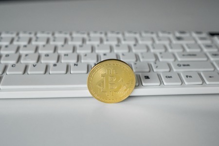 给比特保养用什么药