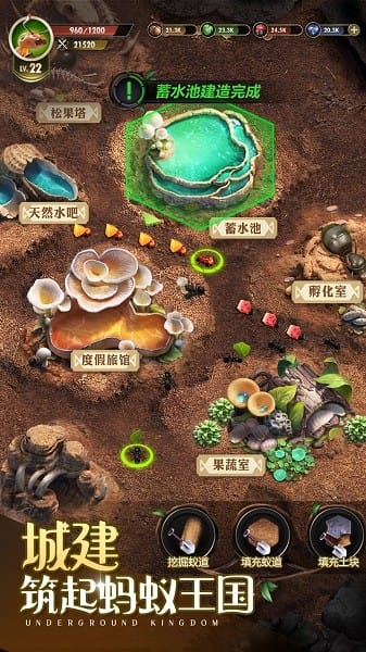 小小蚁国最新版本免费版最新下载