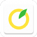 柚子单词下载app最新版