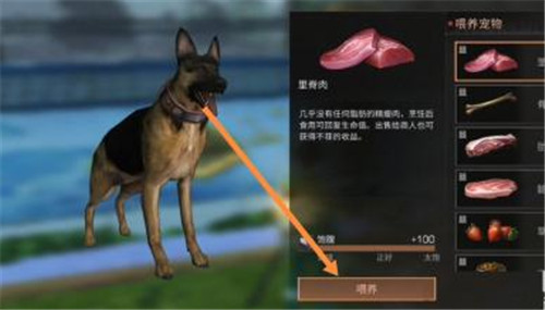 明日之后如何喂养宠物?明日之后喂养宠物方法详情介绍攻略