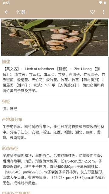 中草药宝典大全软件