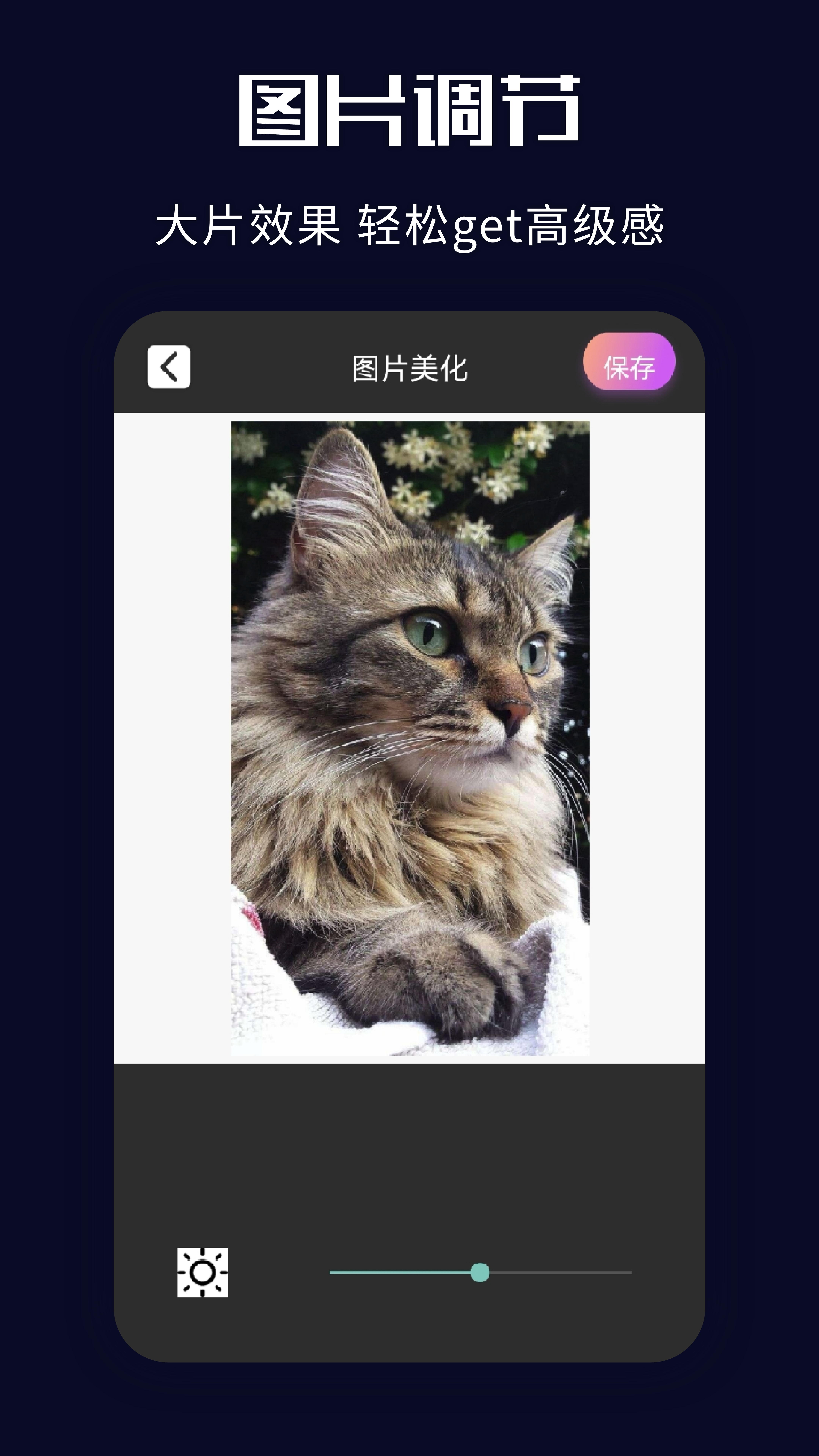 ps图片美化工坊苹果版